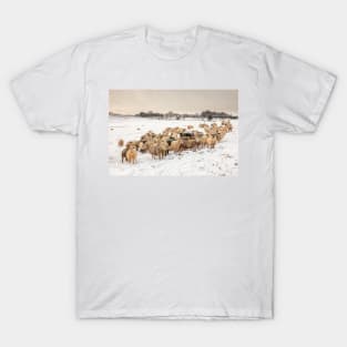 Cold Sheep in the Snow T-Shirt